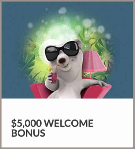 SlotslV welcome casino bonus