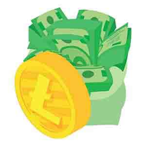 LTC icon